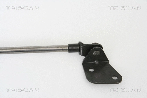 Gas Spring, boot/cargo area