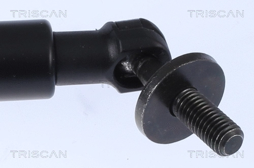Gas Spring, boot/cargo area