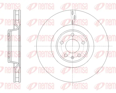 Brake Disc (61671 10)
