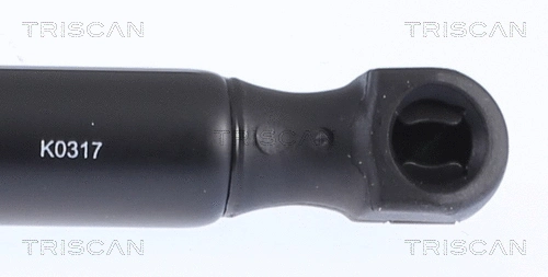 Gas Spring, boot/cargo area