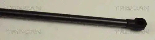 Gas Spring, boot/cargo area