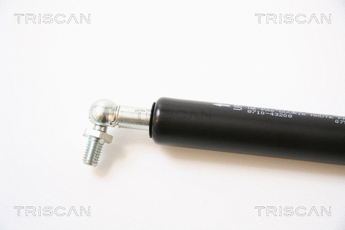 Gas Spring, boot/cargo area