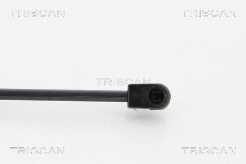 Gas Spring, boot/cargo area