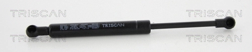 Gas Spring, boot/cargo area (8710 23238)
