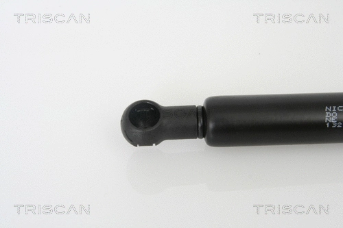 Gas Spring, boot/cargo area