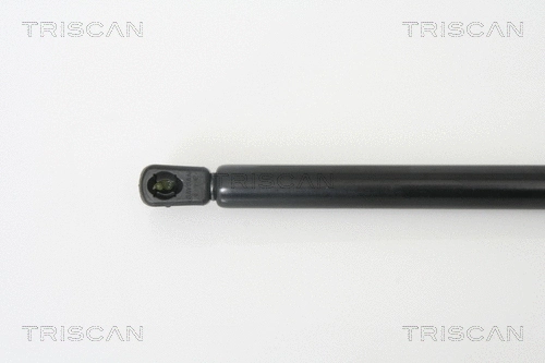 Gas Spring, boot/cargo area