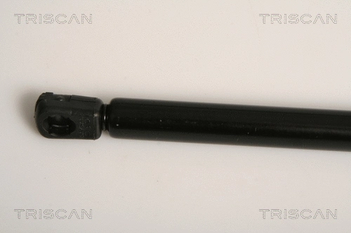 Gas Spring, boot/cargo area