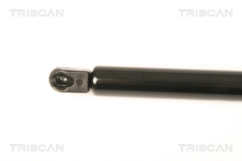 Gas Spring, boot/cargo area