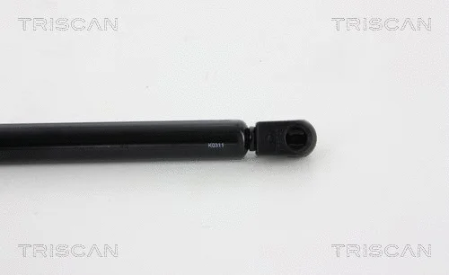 Gas Spring, boot/cargo area
