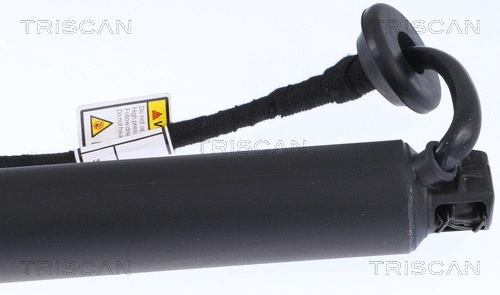 Gas Spring, boot/cargo area