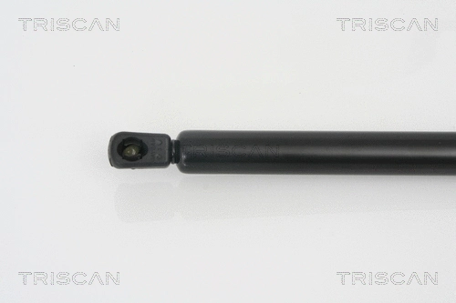 Gas Spring, boot/cargo area