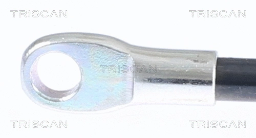 Gas Spring, boot/cargo area