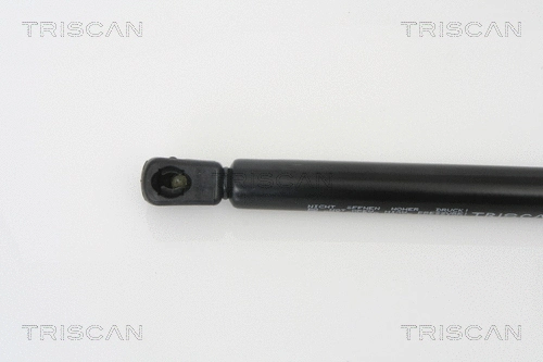 Gas Spring, boot/cargo area