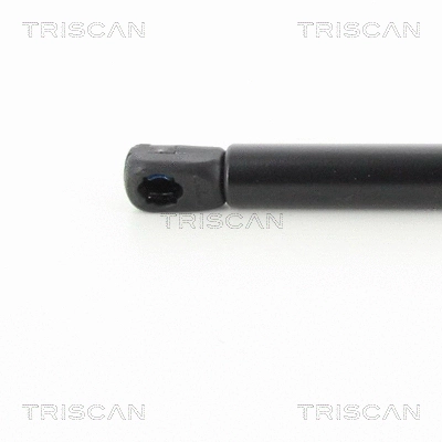 Gas Spring, boot/cargo area