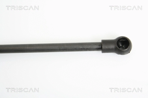 Gas Spring, boot/cargo area