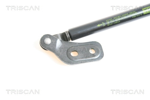 Gas Spring, boot/cargo area