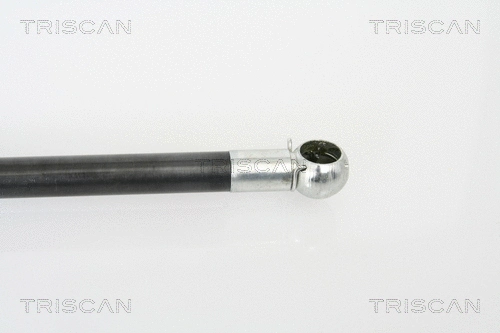 Gas Spring, boot/cargo area