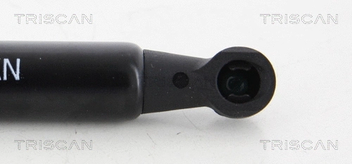 Gas Spring, boot/cargo area