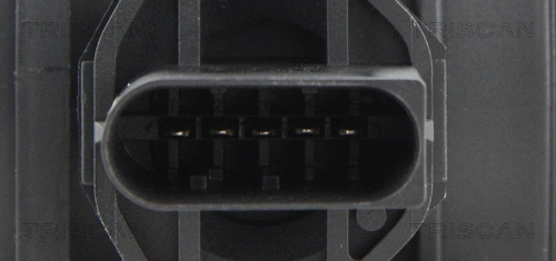 Mass Air Flow Sensor