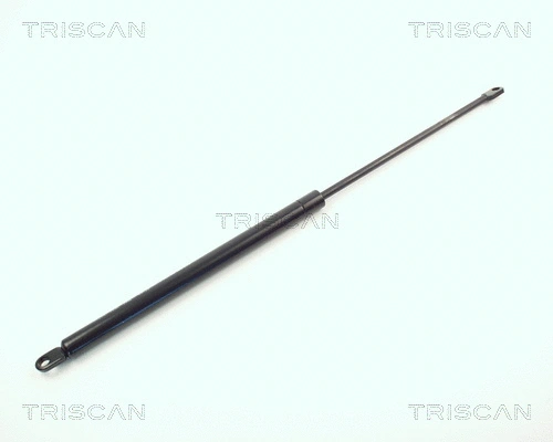 Gas Spring, boot/cargo area (8710 11210)