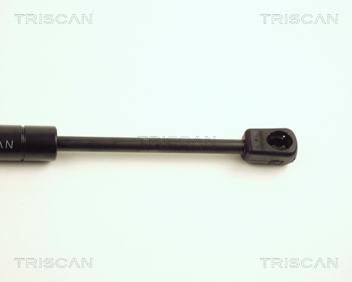 Gas Spring, boot/cargo area