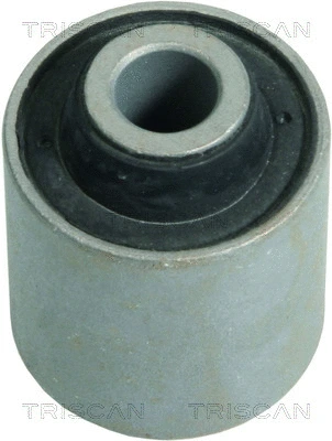 Mounting, control/trailing arm (8500 42801)