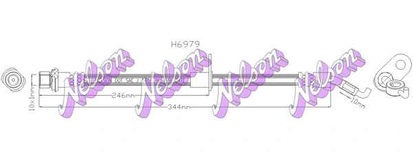 Brake Hose (H6979)
