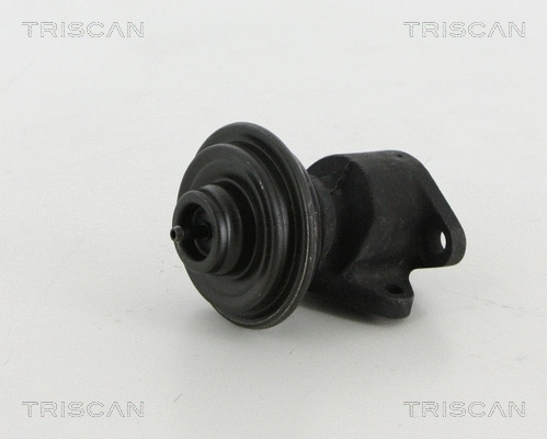 EGR Valve (8813 18035)