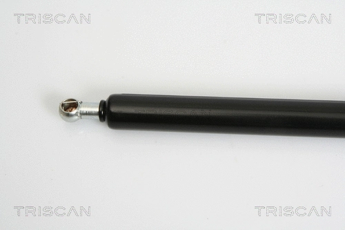 Gas Spring, boot/cargo area