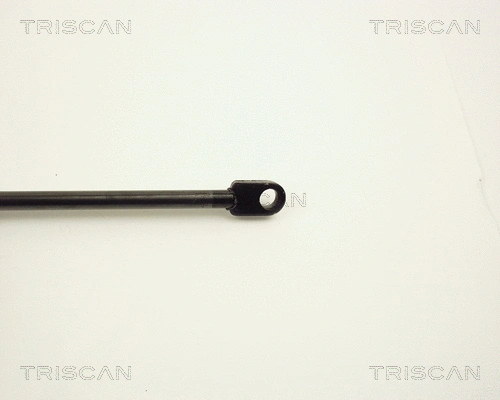 Gas Spring, boot/cargo area