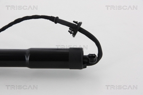 Gas Spring, boot/cargo area