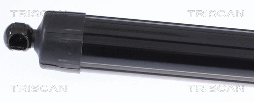 Gas Spring, boot/cargo area