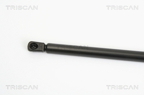 Gas Spring, boot/cargo area