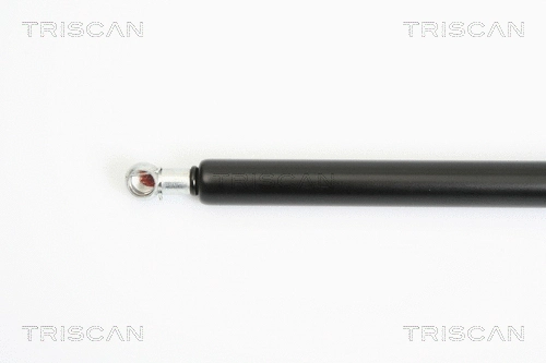 Gas Spring, boot/cargo area