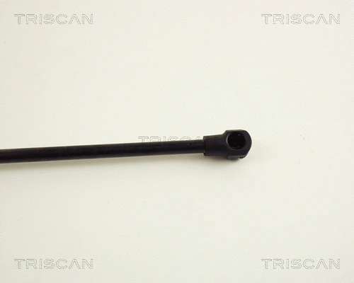 Gas Spring, boot/cargo area