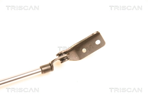 Gas Spring, boot/cargo area