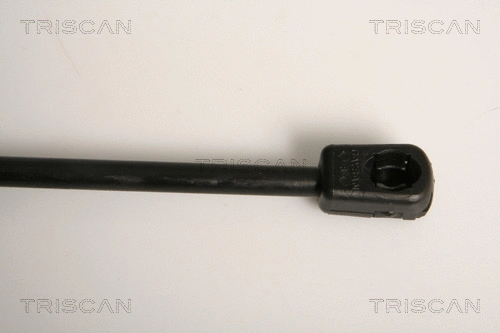 Gas Spring, boot/cargo area