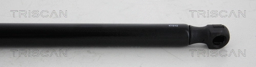 Gas Spring, boot/cargo area