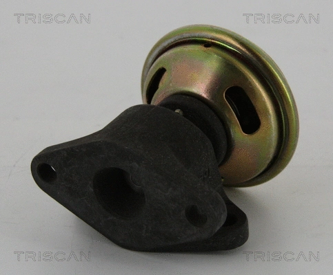 EGR Valve (8813 16026)