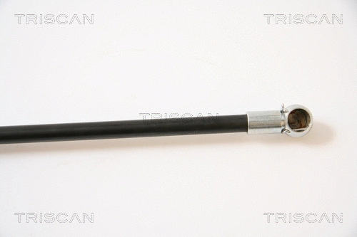 Gas Spring, boot/cargo area