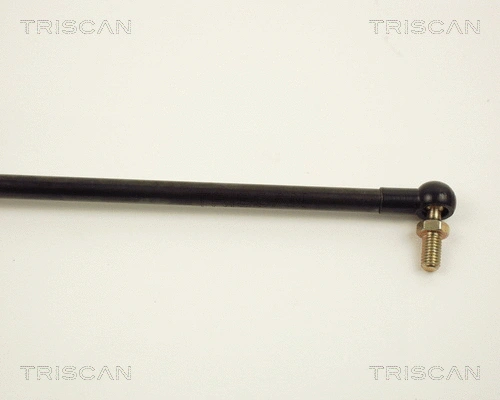 Gas Spring, boot/cargo area