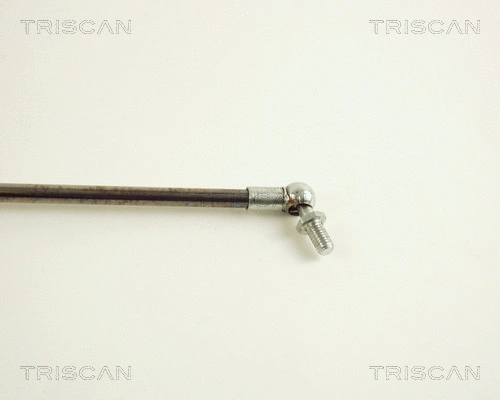 Gas Spring, boot/cargo area