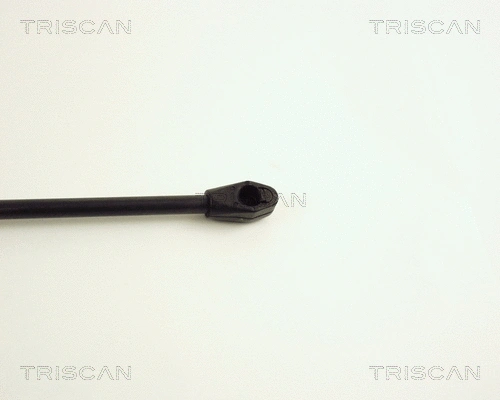 Gas Spring, boot/cargo area