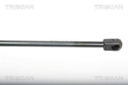 Gas Spring, boot/cargo area (8710 25243)