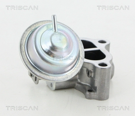 EGR Valve (8813 13065)