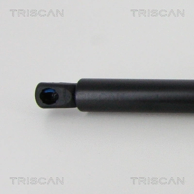 Gas Spring, boot/cargo area