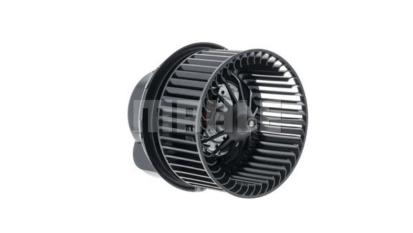 Interior Blower