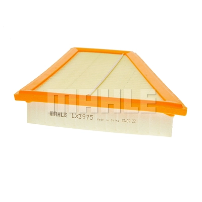 Air Filter (LX 3975)