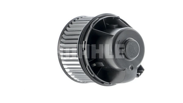 Interior Blower