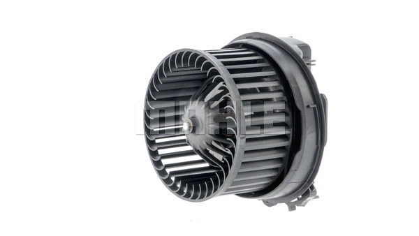 Interior Blower